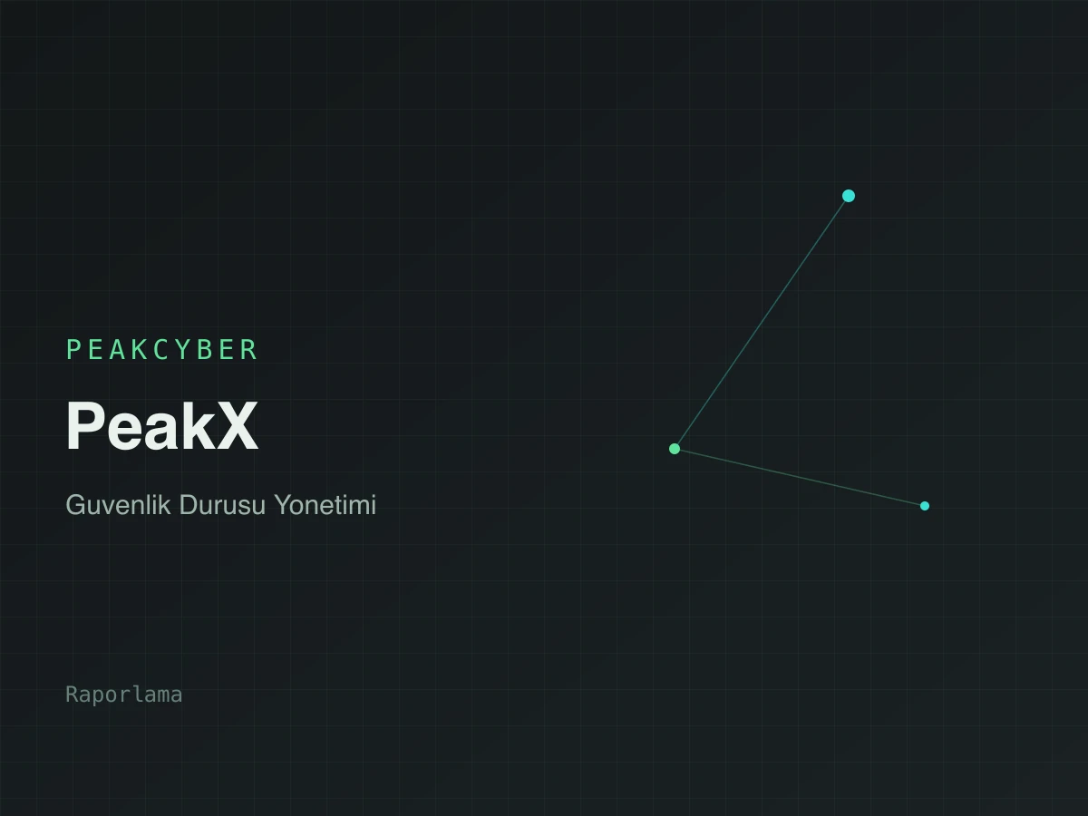SecFlowX — raporlama ekranı (PeakCyber Technologies)
