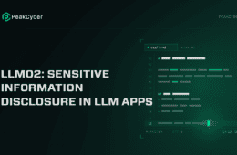 How Talkative Is the Model? LLM02: Sensitive Information Disclosure