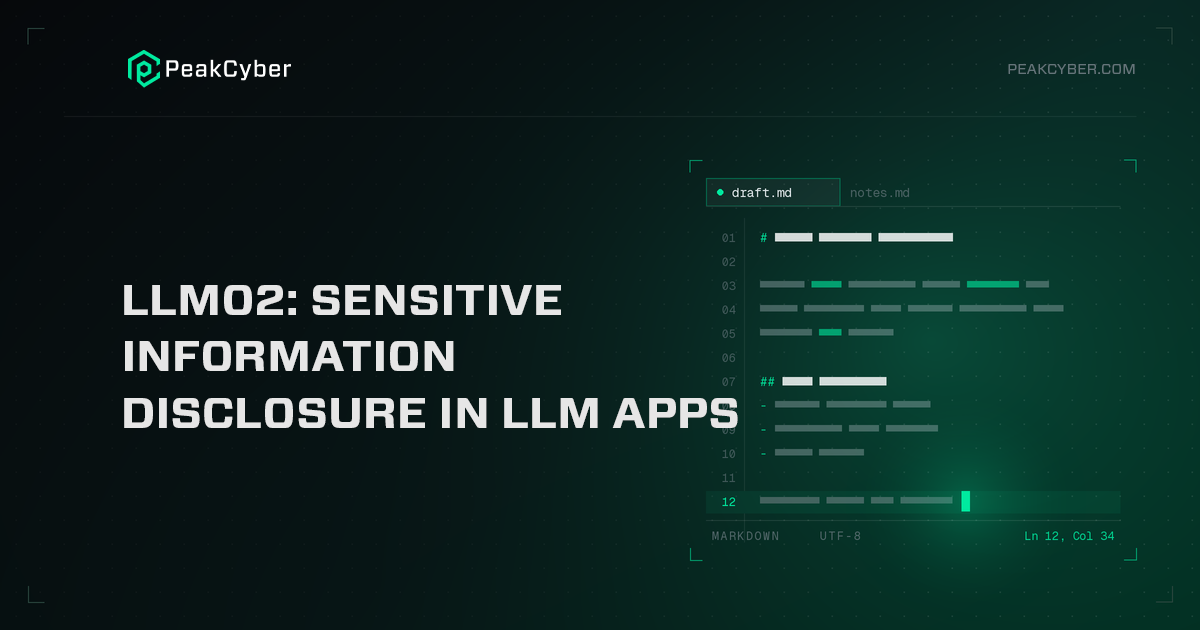 LLM02- Sensitive Information Disclosure in LLM Apps