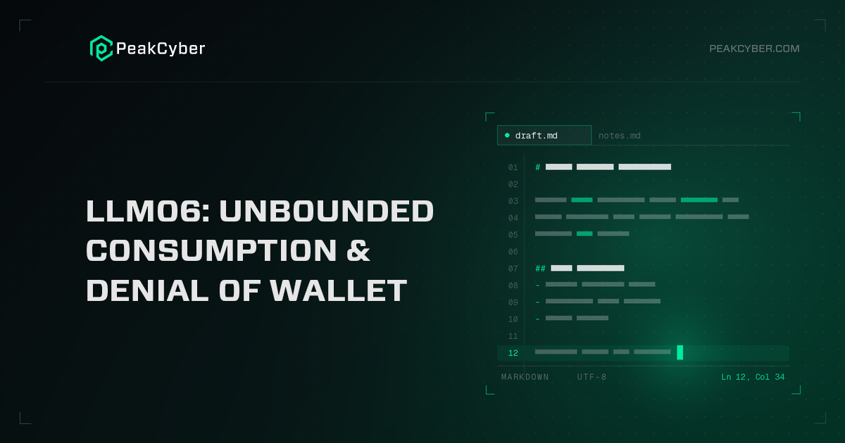 LLM06- Unbounded Consumption & Denial of Wallet